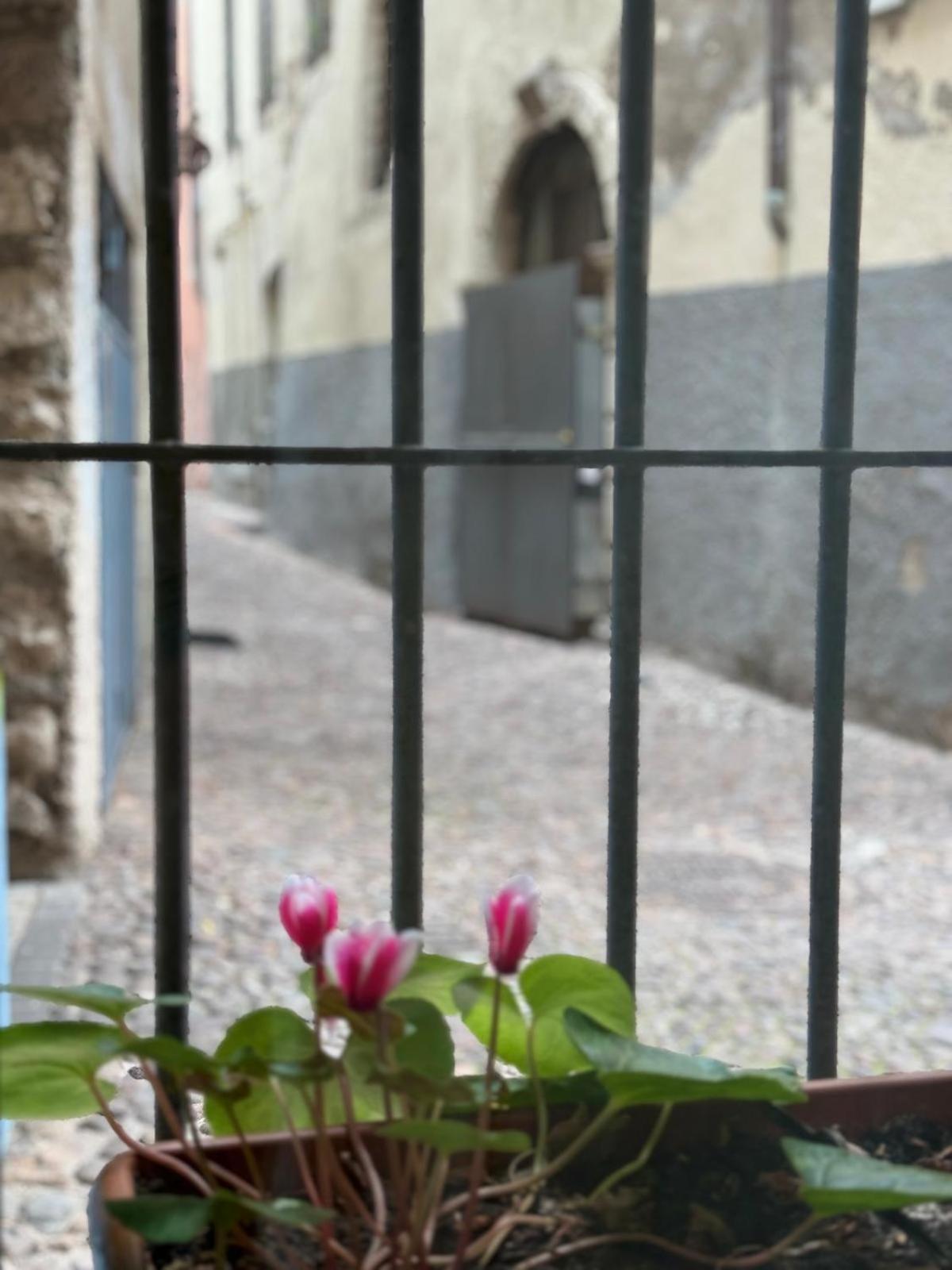 Duomo Nest Entire Apartment Trento Exterior photo